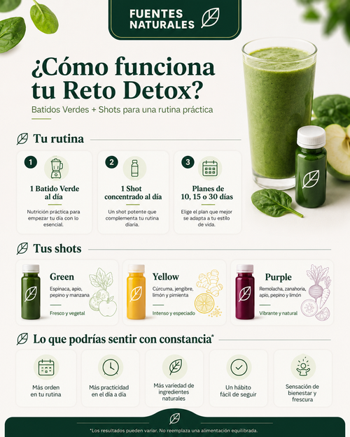 Reto Detox 10 Días — 10 Batidos + 10 Shots